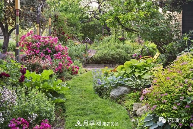 八月月季花卉養(yǎng)護(hù)，園丁的打理事宜(圖1)