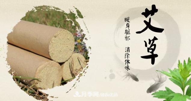 如何判定南陽(yáng)艾條質(zhì)量的好壞？(圖1)