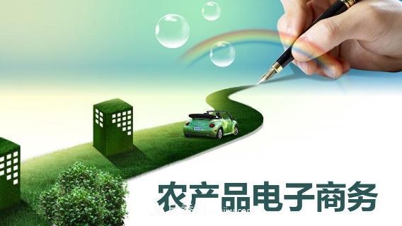 大學畢業(yè)回鄉(xiāng)創(chuàng)業(yè)電商 誓把南陽農(nóng)產(chǎn)品推向世界(圖1)
