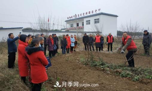 南陽市林科院林學苗木服務團赴社旗縣開展送科技下鄉(xiāng)系列活動(圖1) 南陽市林科院林學苗木服務團赴社旗縣開展送科技下鄉(xiāng)系列活動(圖1)