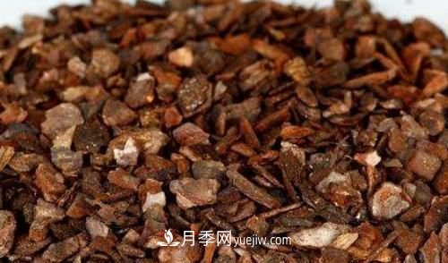 園林景觀綠化中松樹皮的應(yīng)用(圖1)
