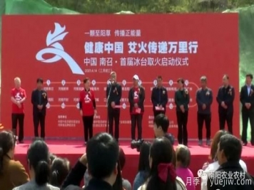 南陽(yáng)南召：以艾草為媒 拓寬致富新路子