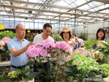陜西省花卉產(chǎn)業(yè)創(chuàng)新發(fā)展論壇舉行，培育陜花地域品牌