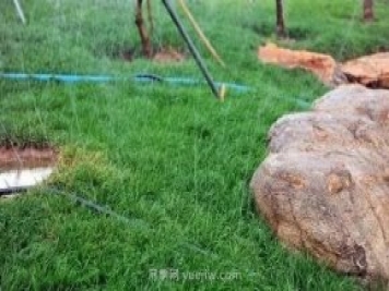 園林常用的4種節(jié)水灌溉技術(shù)