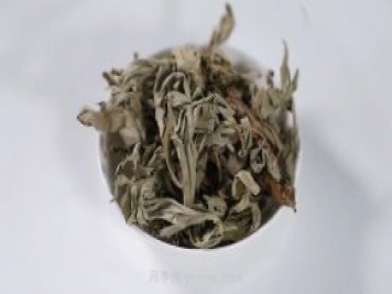 南陽艾草產(chǎn)業(yè)蓬勃發(fā)展的背后原因是為什么？