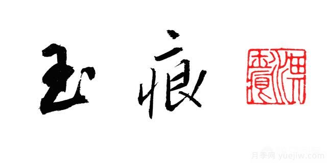 ***香的幾款月季品種是什么？ 什么品種的月季花(圖6)